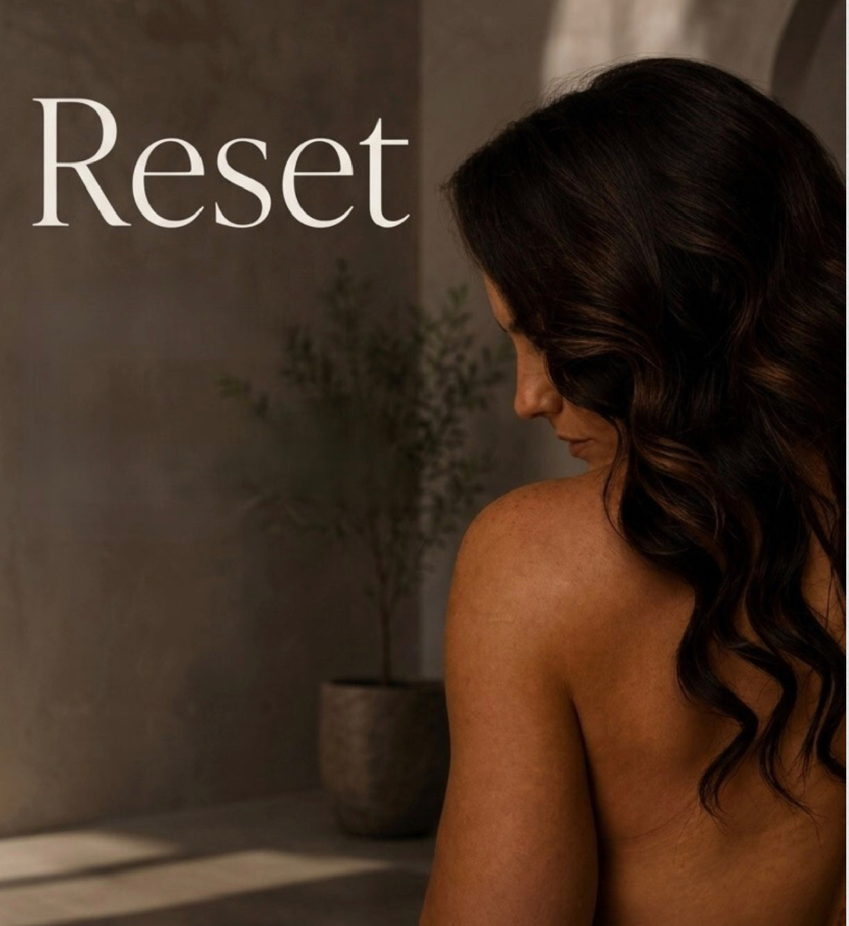 RESET Program